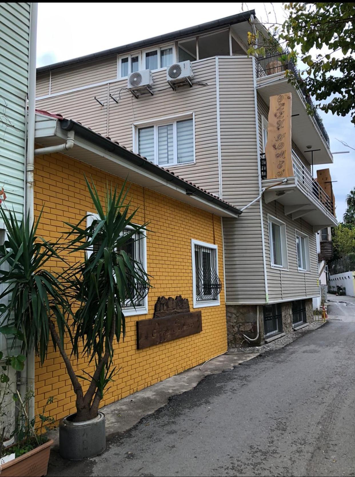 Ozzy Homes