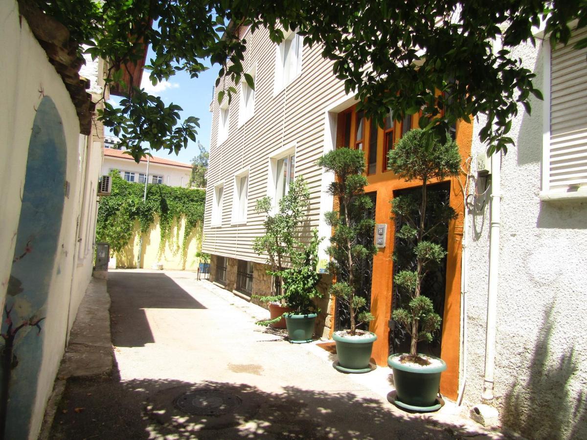 Apartment Ozzy Homes